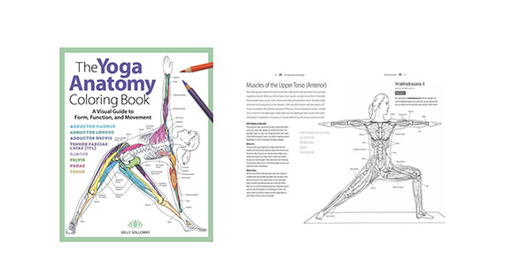 COLORING BOOK The Yoga Anatomy Coloring Book Integral
