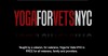 Yoga for Veterans