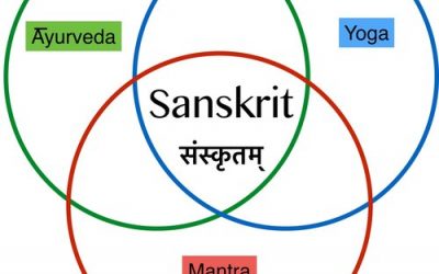 Sanskrit: a Sacred Model of Language, Part 3