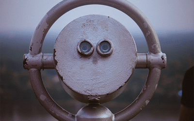 Taking the Witness Stand: Cultivating Neutral Observer Mind