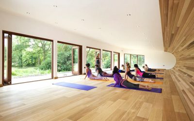 Running a Successful Yoga Studio