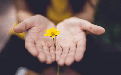 Yoga & Your Work