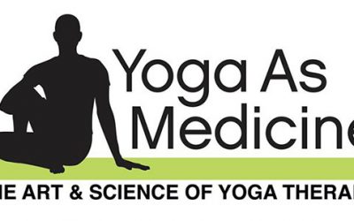 Yoga Therapy: A Holistic Approach