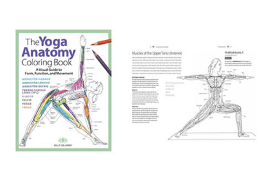 COLORING BOOK: The Yoga Anatomy Coloring Book