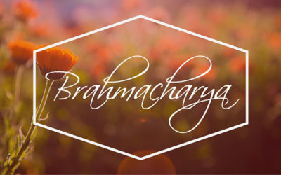 Raja Yoga Teaching of the Month: Brahmacharya
