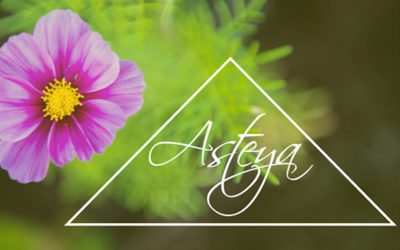 Raja Yoga Teaching of the Month: Asteya