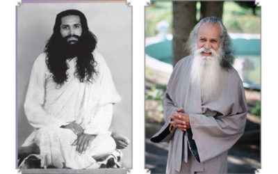 Mahasamadhi Anniversary of Sri Swami Satchidananda Observed