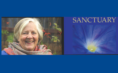 CD: Sanctuary by Radhika Miller