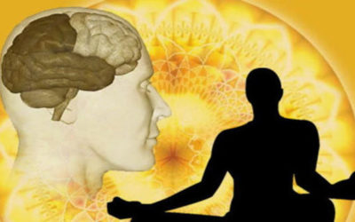 Brain Science and Yoga