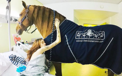 Peyo, the Therapy Horse