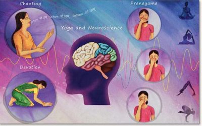 The Science of Yoga, Part 6: Bringing It All Together