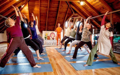 Yoga Teaching Essentials – April 2022