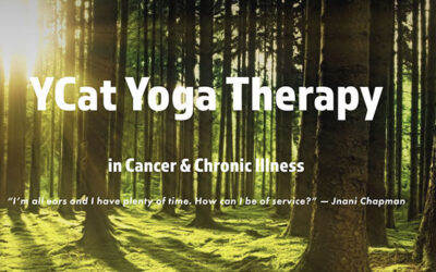 YCat Yoga in Cancer & Chronic Illness – Level One Training Jan. 2023