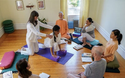 Yoga for Arthritis, Level 1 Teacher Training Online: June 8–25, 2023