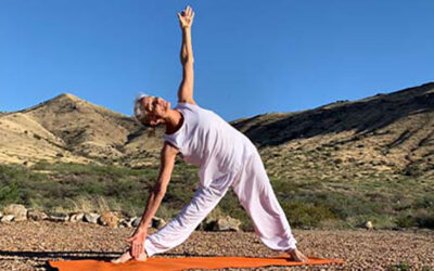 Elements of Integral Yoga Hatha: The Ultimate Balancing Act