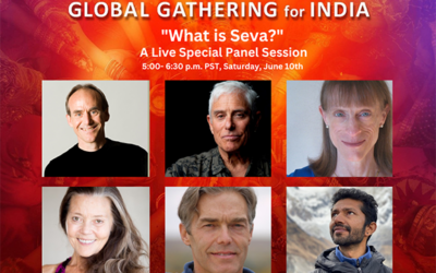 What is Seva? Live Panel Session June 10th