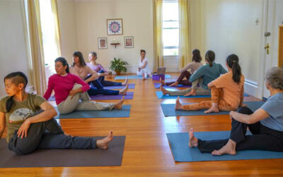 Yoga Immersion Program – Spring 2024 Online