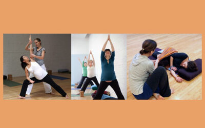 Prenatal Yoga Teacher Training – May 2024