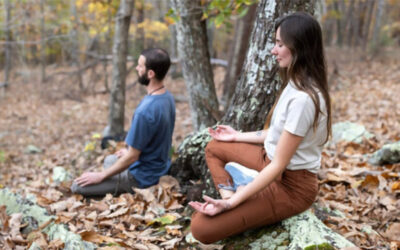 Announcing the Fall Silent Yoga Retreat: October 24-27, 2024