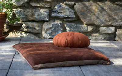 Beyond the Meditation Cushion