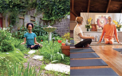Yoga & Wellness Retreats