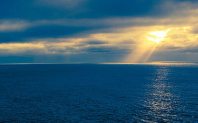 The Light of Infinite Consciousness