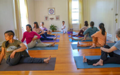 Online Integral Yoga Immersion – Spring 2026