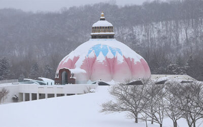 Transform Yourself, Transform the World: Integral Yoga New Year’s Yoga Retreat