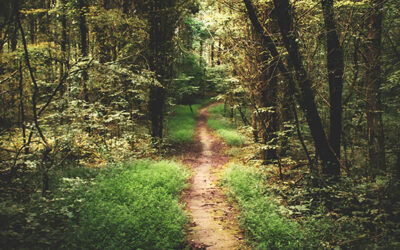 Beyond Resolutions: Choosing a Deeper Way