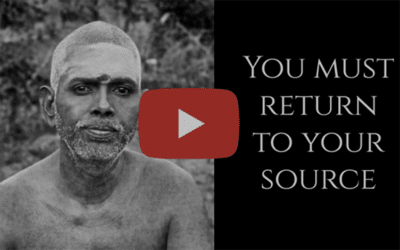 Return to the Source