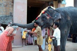 Swami Satchidananda and an elephant
